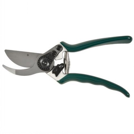 RHS Bypass secateur (blade and spring)